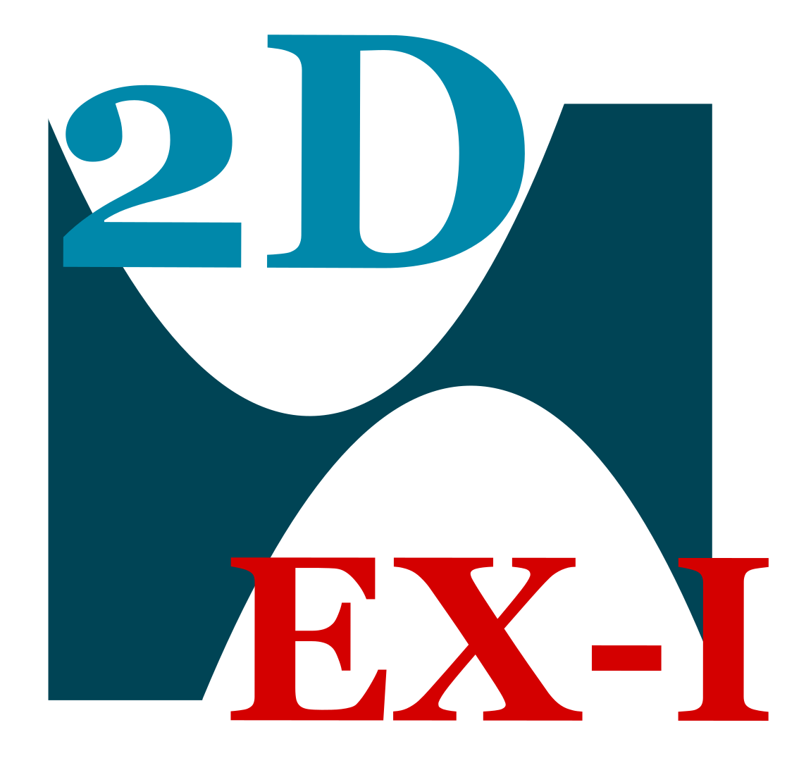 Two-dimensional excitonic insulators Workshop